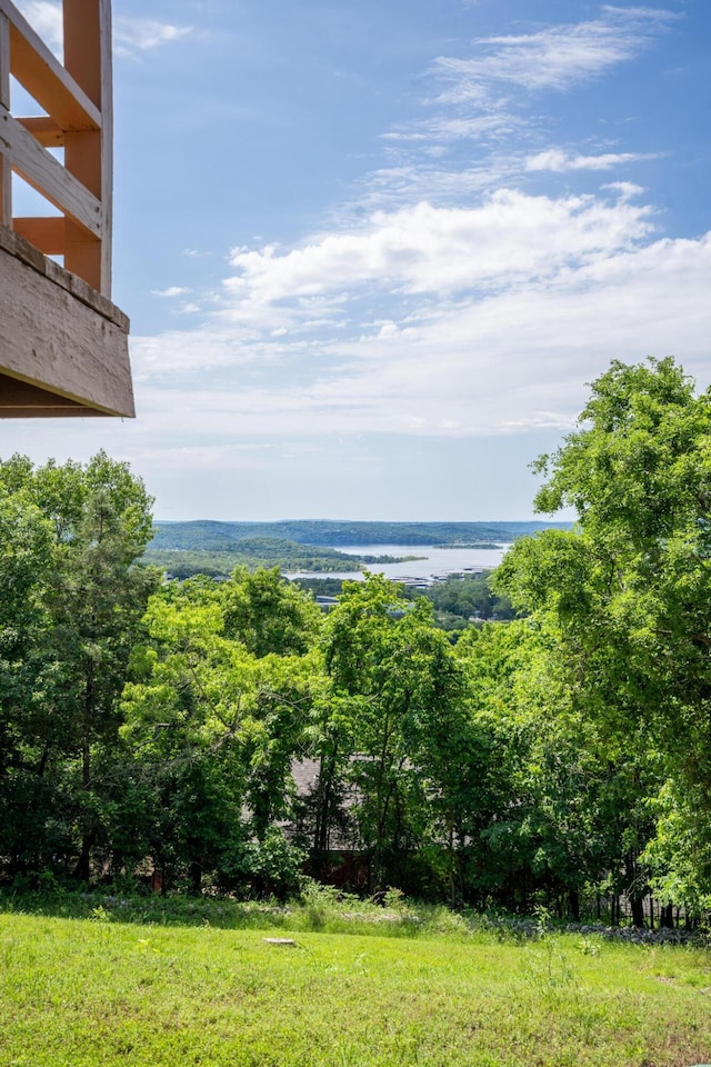 39 James River Rd, Kimberling City, MO 65686 - water view