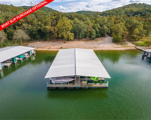 39 James River Rd, Kimberling City, MO 65686 - dock area featuring a view of trees, a water view, and boat lift