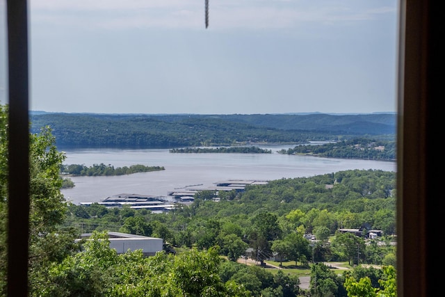 39 James River Rd, Kimberling City, MO 65686 - water view featuring a heavily wooded area