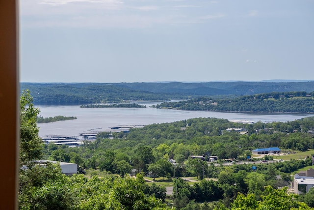39 James River Rd, Kimberling City, MO 65686 - water view featuring a heavily wooded area