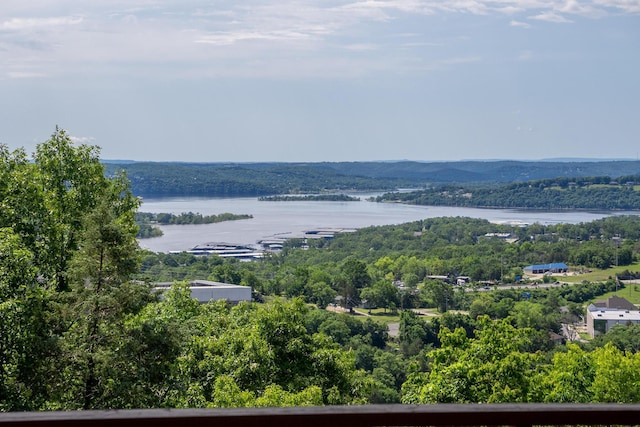 39 James River Rd, Kimberling City, MO 65686 - water view featuring a forest