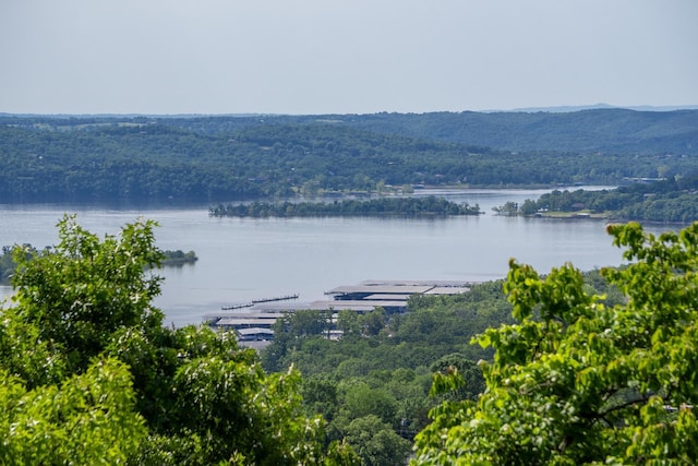 39 James River Rd, Kimberling City, MO 65686 - water view featuring a forest