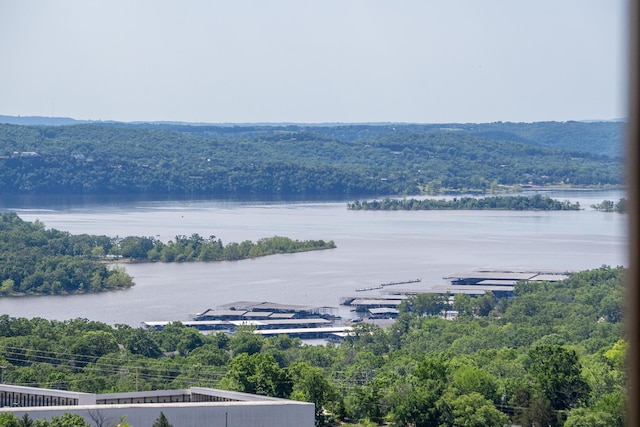 39 James River Rd, Kimberling City, MO 65686 - water view featuring a forest
