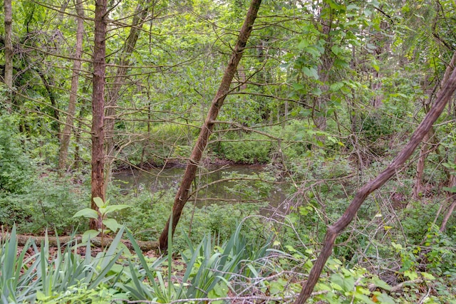 299 Regal Dr, Rogersville, MO 65742 - view of tree filled area
