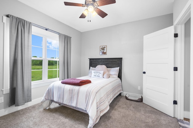 8811 Bell Valley Ln, Willard, MO 65781 - photo 26