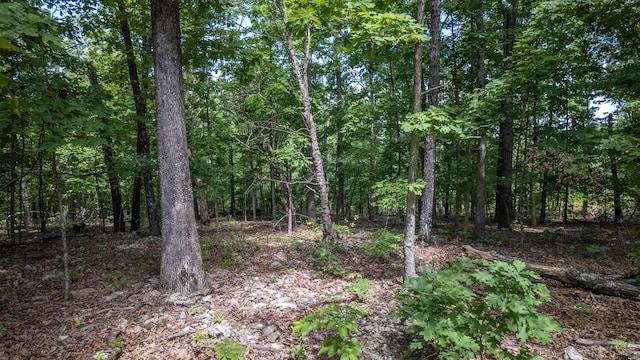 889 County Road 101, Alton, MO 65606 - photo 32