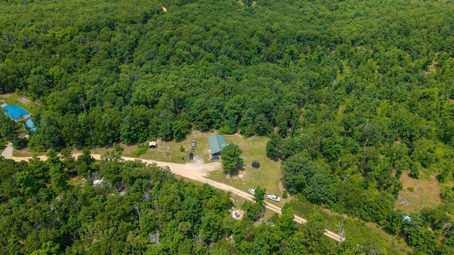 889 County Road 101, Alton, MO 65606 - photo 38