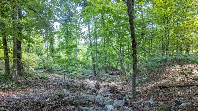 889 County Road 101, Alton, MO 65606 - photo 35