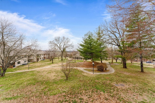 350 S Wildwood Dr Unit B-11, Branson, MO 65616 - view of grassy yard