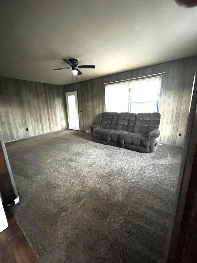 303 E Teal St, Ava, MO 65608 - photo 4