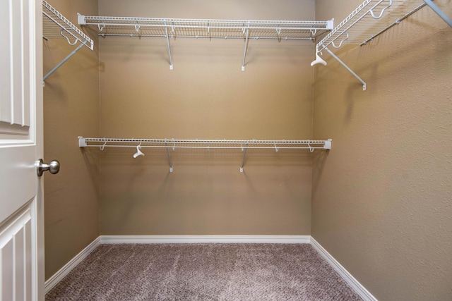 5048 S Fieldstone Rd, Battlefield, MO 65619 - walk in closet with carpet floors