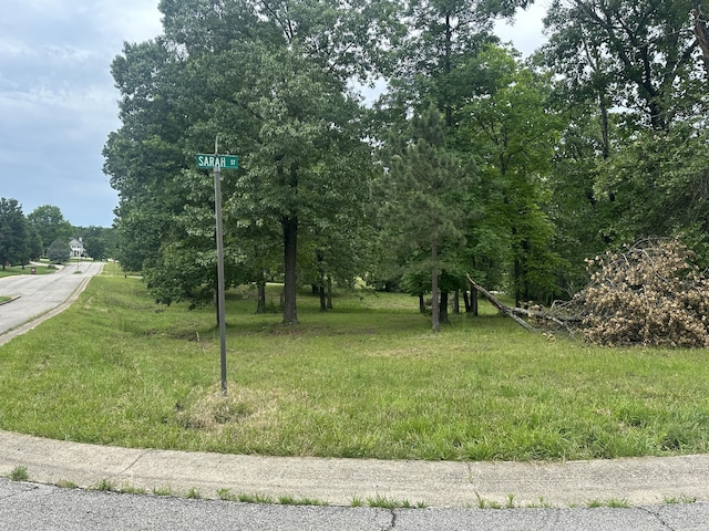 2035 Roberta Dr, West Plains, MO 65775