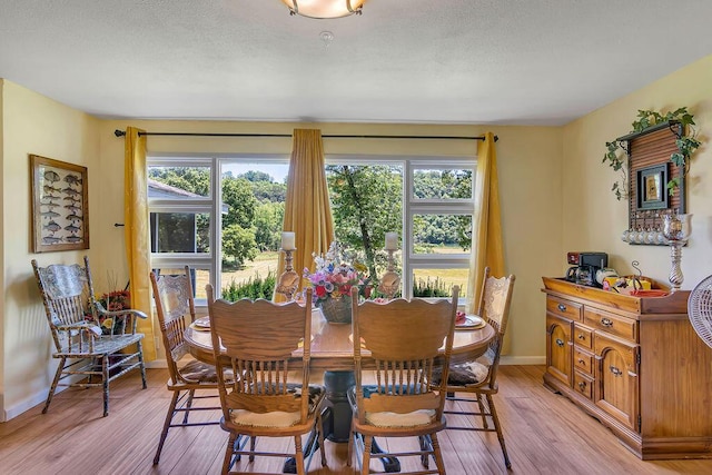 360 Cathy St, Branson, MO 65616 - dining room with light wood-type flooring and baseboards