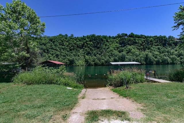 360 Cathy St, Branson, MO 65616 - water view featuring a heavily wooded area
