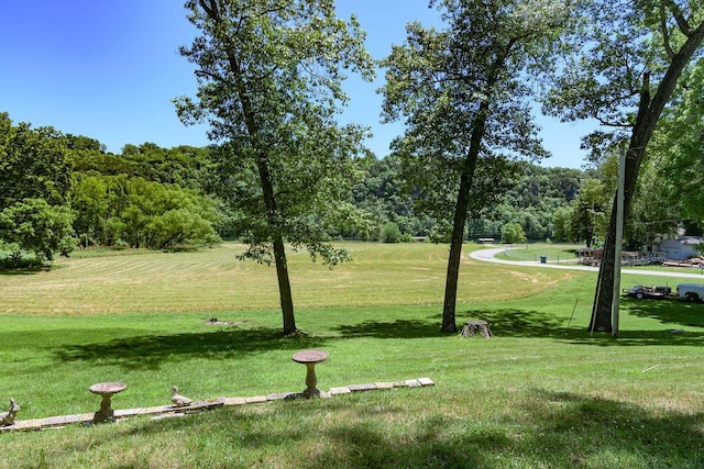 360 Cathy St, Branson, MO 65616 - view of home's community with a lawn