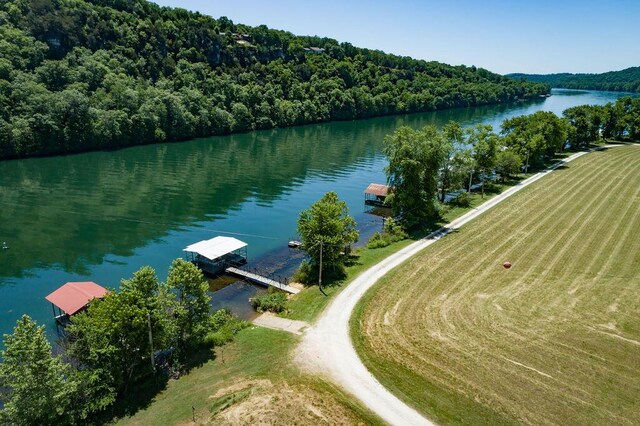 360 Cathy St, Branson, MO 65616 - bird's eye view of a large body of water and a heavily wooded area