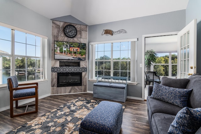79 Anglers Pointe Dr Unit 5, Branson, MO 65616 - living area featuring healthy amount of natural light, vaulted ceiling, a fireplace, and wood finished floors