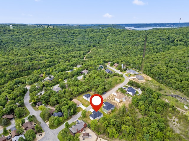 591 Pine Woods Village Dr Lot 15, Hollister, MO 65672 - photo 55