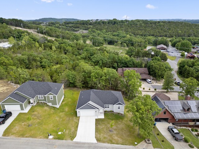 591 Pine Woods Village Dr Lot 15, Hollister, MO 65672 - photo 53