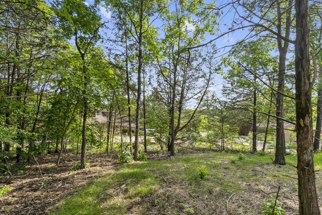 591 Pine Woods Village Dr Lot 15, Hollister, MO 65672 - photo 51