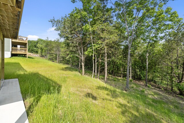 591 Pine Woods Village Dr Lot 15, Hollister, MO 65672 - photo 50