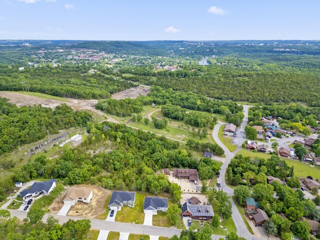 591 Pine Woods Village Dr Lot 15, Hollister, MO 65672 - photo 54