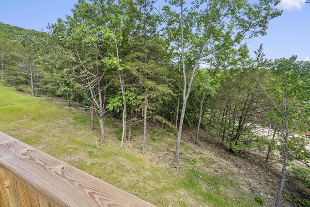 591 Pine Woods Village Dr Lot 15, Hollister, MO 65672 - photo 19