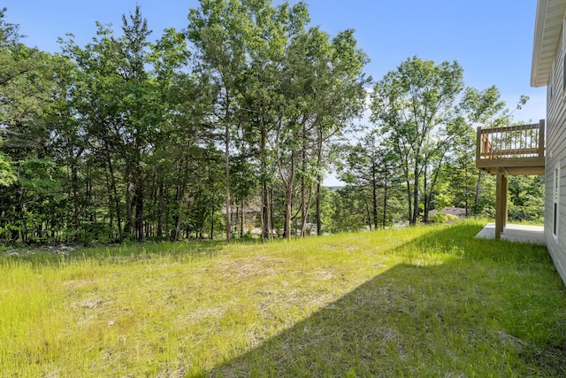 591 Pine Woods Village Dr Lot 15, Hollister, MO 65672 - photo 49