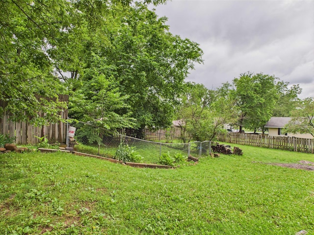 54 Southgate Dr, Harrison, AR 72601 - view of yard
