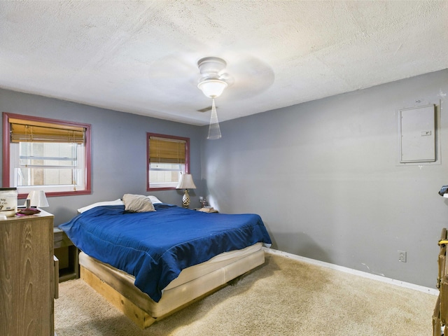 54 Southgate Dr, Harrison, AR 72601 - bedroom with electric panel, a textured ceiling, carpet flooring, multiple windows, and baseboards