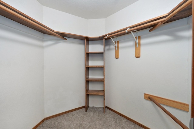 6025 S Farm Rd Unit 157, Springfield, MO 65810 - walk in closet with light carpet