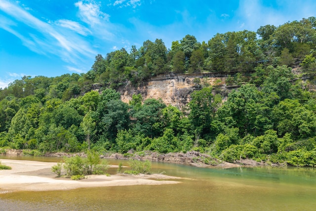 1288 County Road 334, Tecumseh, MO 65760 - water view featuring a forest