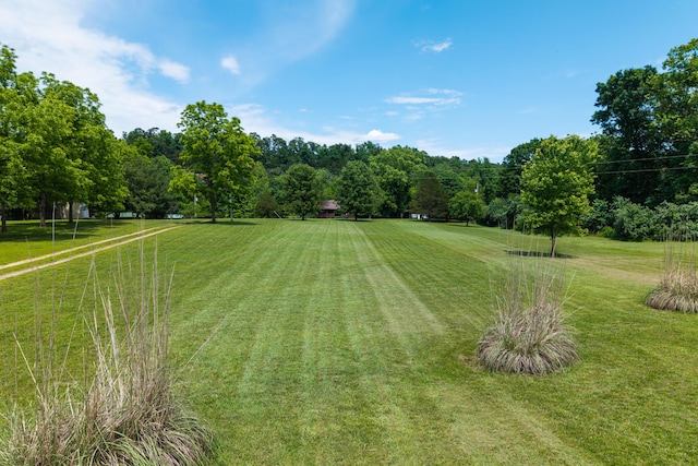1288 County Road 334, Tecumseh, MO 65760 - view of grassy yard