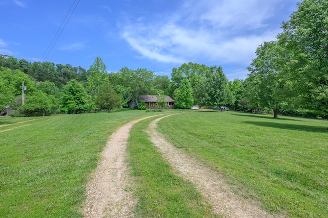1288 County Road 334, Tecumseh, MO 65760 - view of dirt / gravel driveway