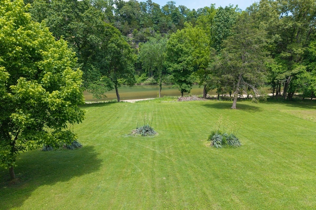 1288 County Road 334, Tecumseh, MO 65760 - view of grassy yard featuring a water view