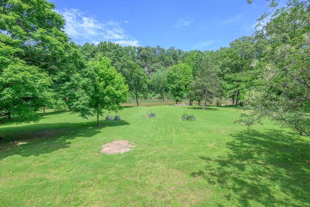 1288 County Road 334, Tecumseh, MO 65760 - view of green lawn