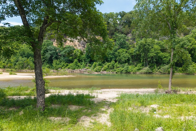 1288 County Road 334, Tecumseh, MO 65760 - water view featuring a forest
