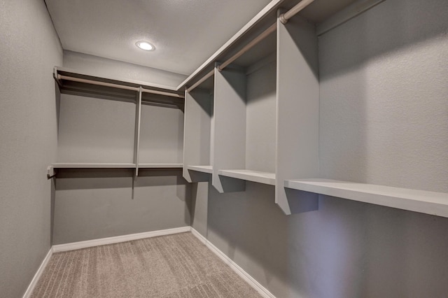 3383 Lusk Dr, Neosho, MO 64850 - walk in closet with carpet