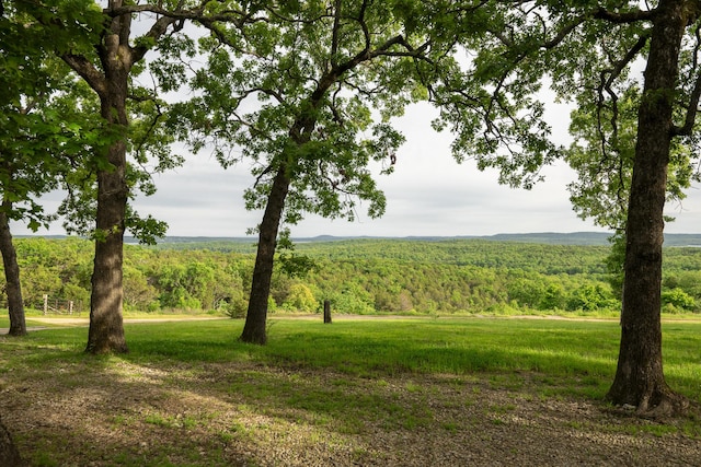 651/TBD Round Robin Ln, Yellville, AR 72687 - view of green lawn with a view of trees