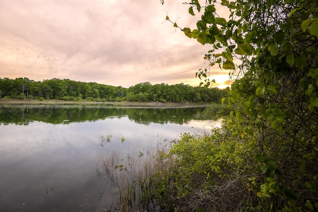 651/TBD Round Robin Ln, Yellville, AR 72687 - water view with a forest
