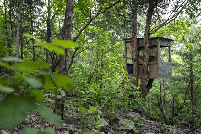 651/TBD Round Robin Ln, Yellville, AR 72687 - exterior view of a heavily wooded area