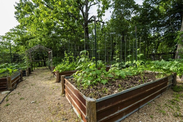 651/TBD Round Robin Ln, Yellville, AR 72687 - view of yard featuring a vegetable garden and a gazebo
