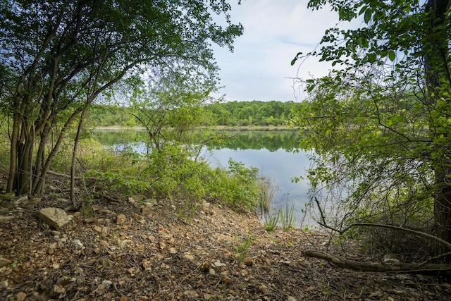 651/TBD Round Robin Ln, Yellville, AR 72687 - water view with a forest