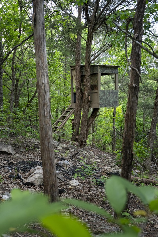 651/TBD Round Robin Ln, Yellville, AR 72687 - view of local wilderness