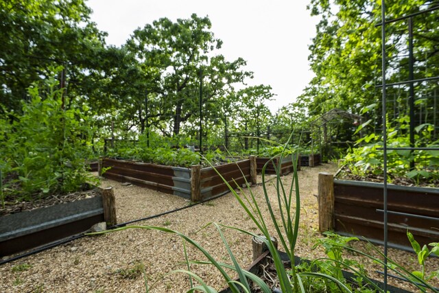 651/TBD Round Robin Ln, Yellville, AR 72687 - view of yard featuring a garden