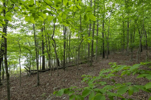 651/TBD Round Robin Ln, Yellville, AR 72687 - view of woods