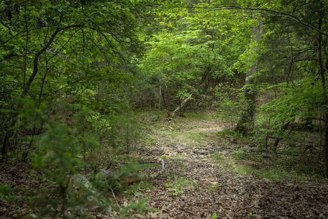 651/TBD Round Robin Ln, Yellville, AR 72687 - view of tree filled area