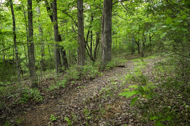 651/TBD Round Robin Ln, Yellville, AR 72687 - view of wooded area