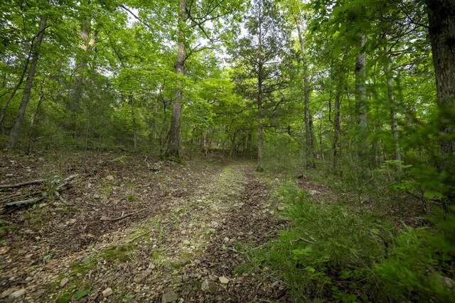 651/TBD Round Robin Ln, Yellville, AR 72687 - view of woods