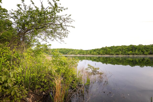 651/TBD Round Robin Ln, Yellville, AR 72687 - water view featuring a forest